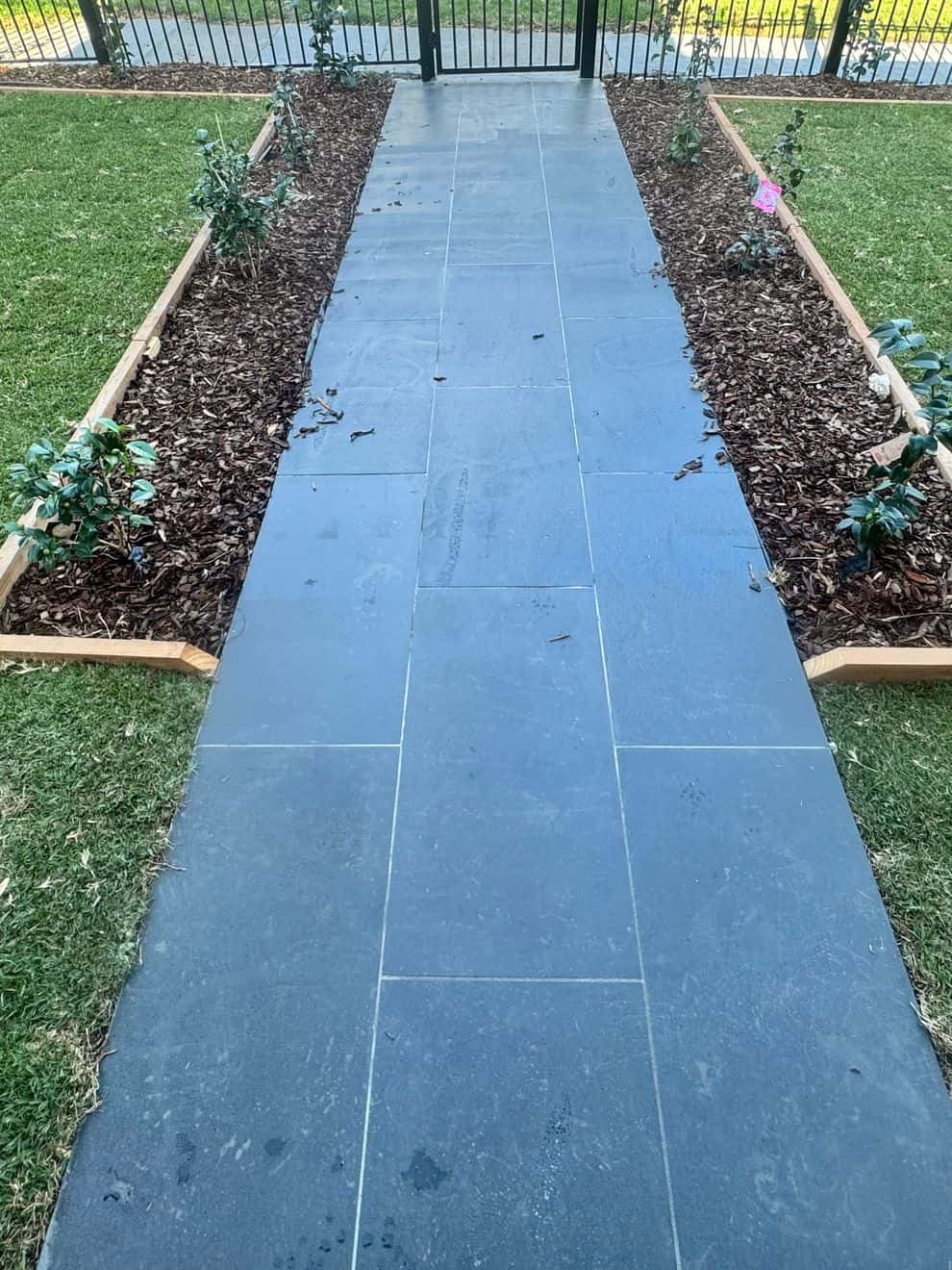 Bluestone path between timber-edged garden beds and new lawns in a front garden