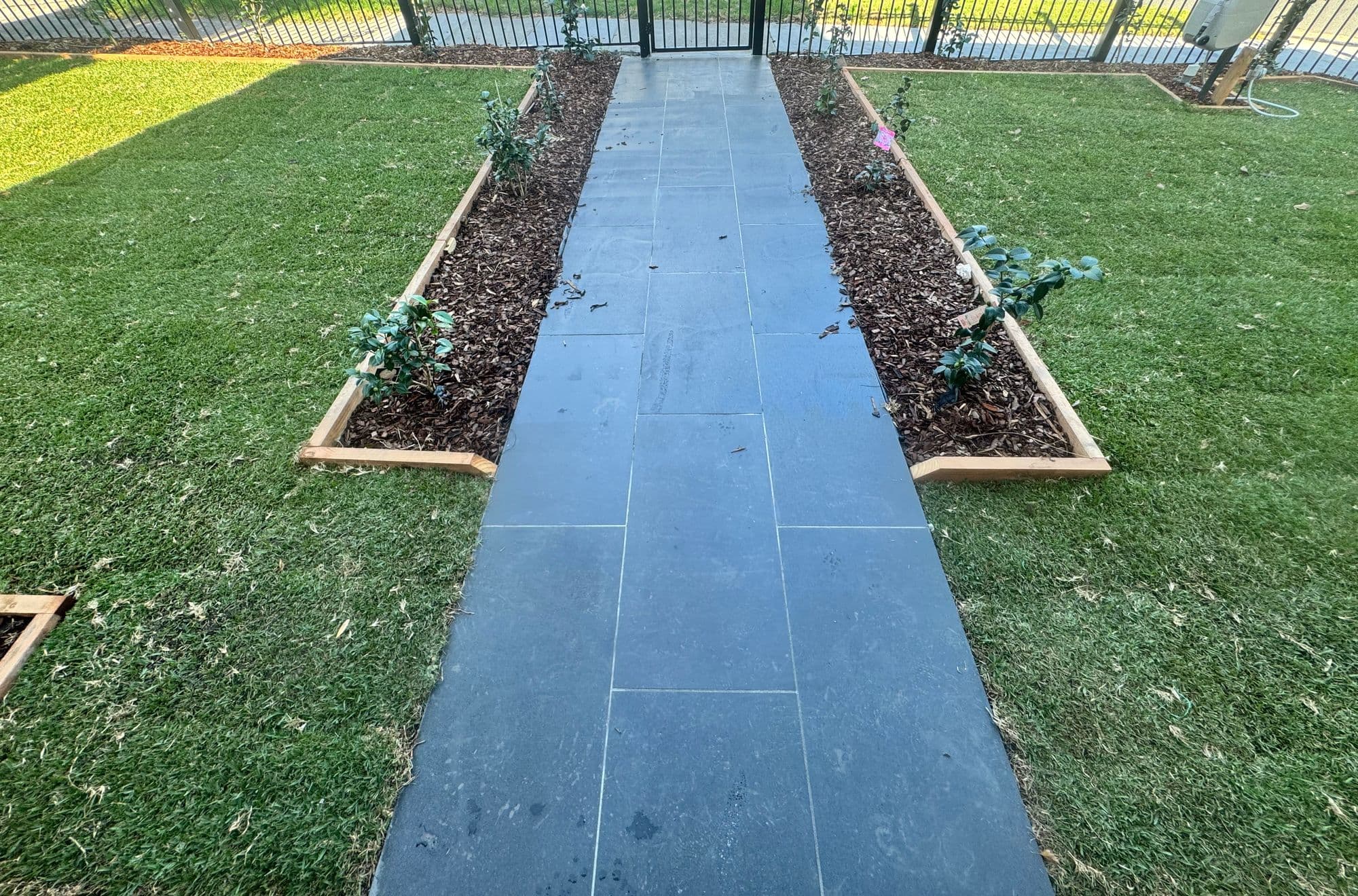 Bluestone path between timber-edged garden beds and new lawns in a front garden
