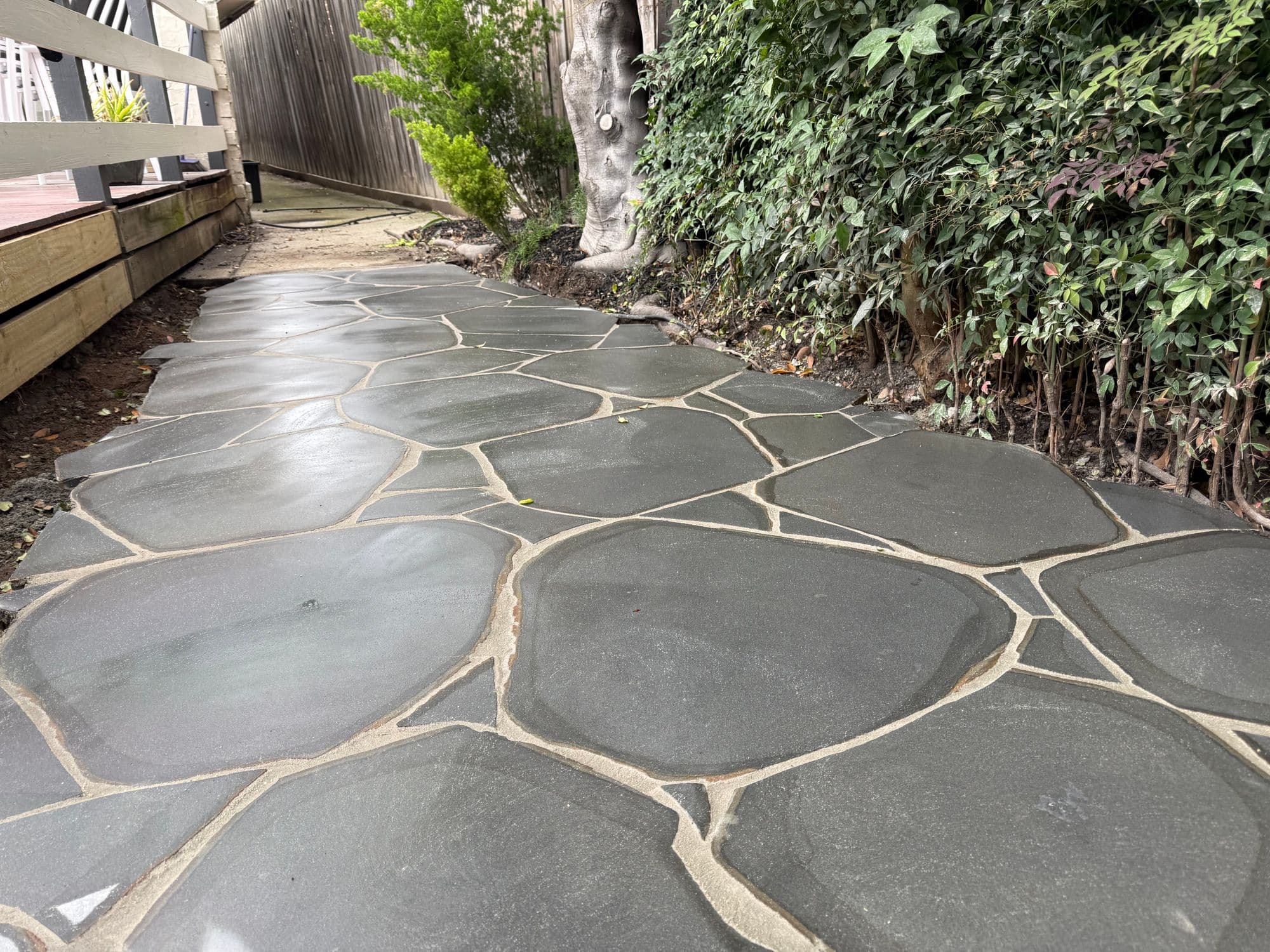 Finished bluestone crazy paving path with sand-coloured joints between a hedge and a timber deck