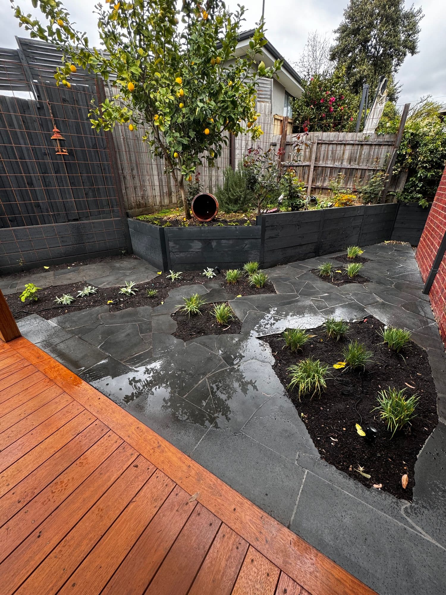 Bluestone crazy paving with planted pockets meeting a new timber deck
