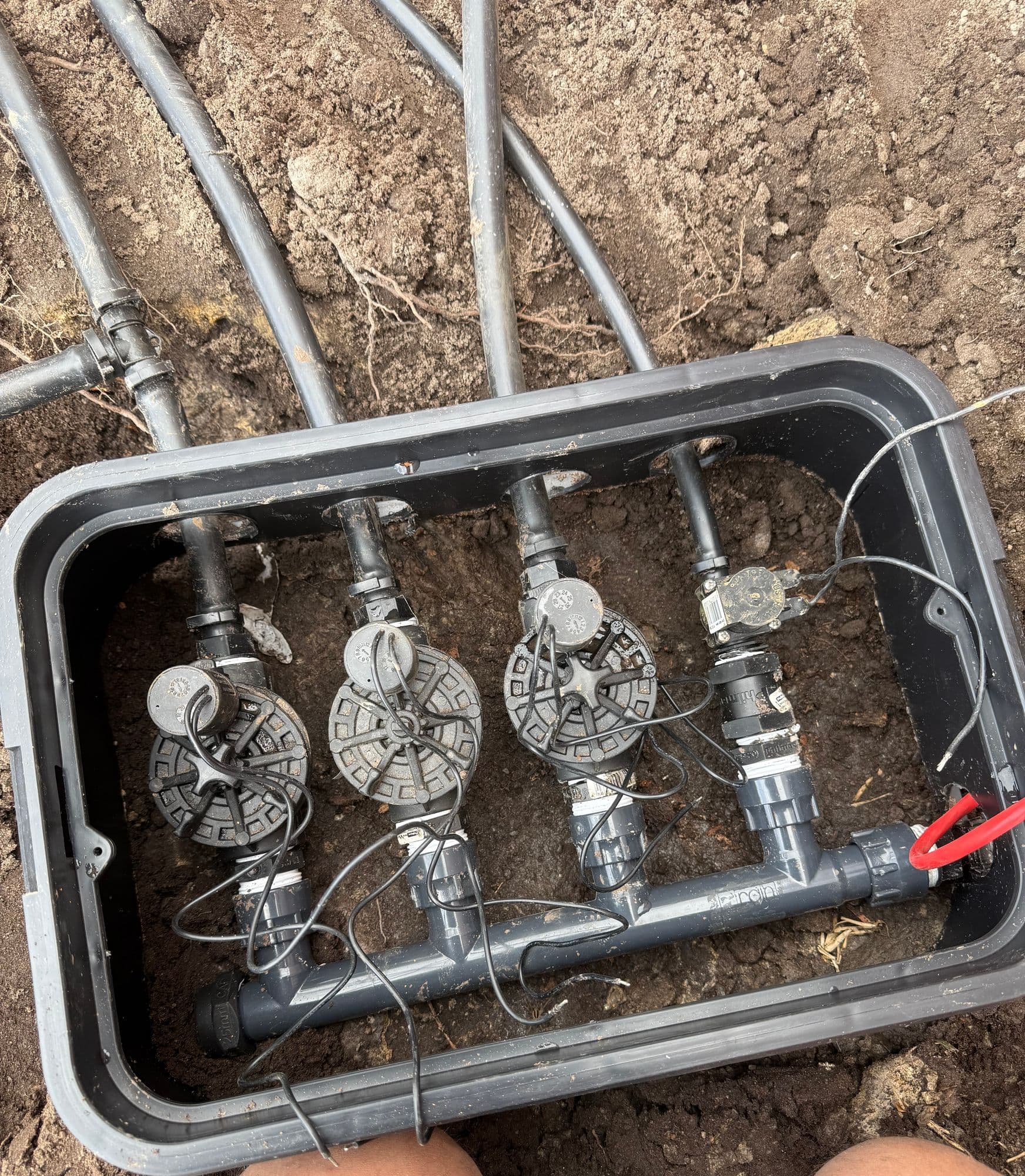 Irrigation solenoid valves and manifold in a valve box