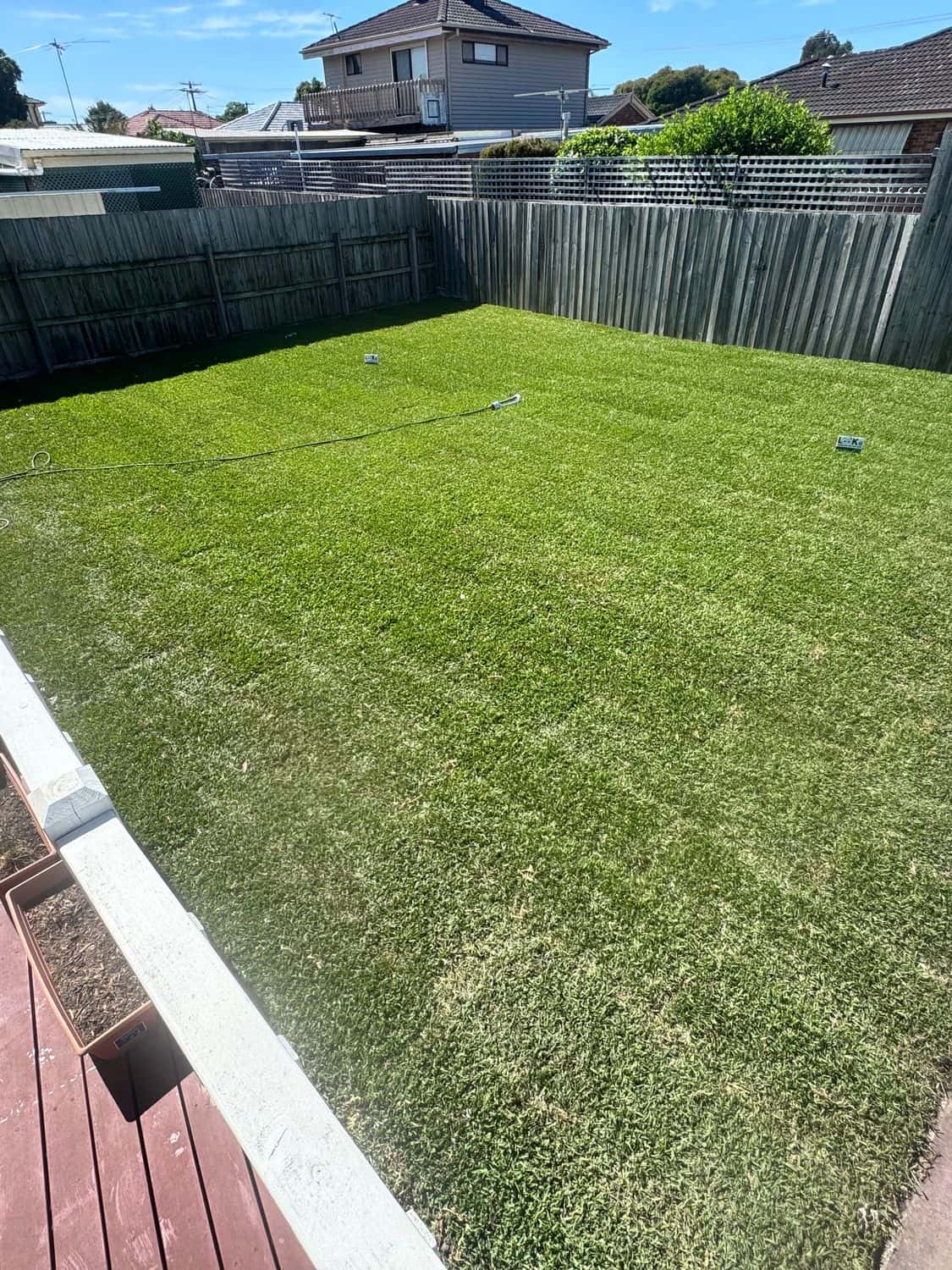 Large new Sir Walter buffalo backyard lawn beside a timber deck