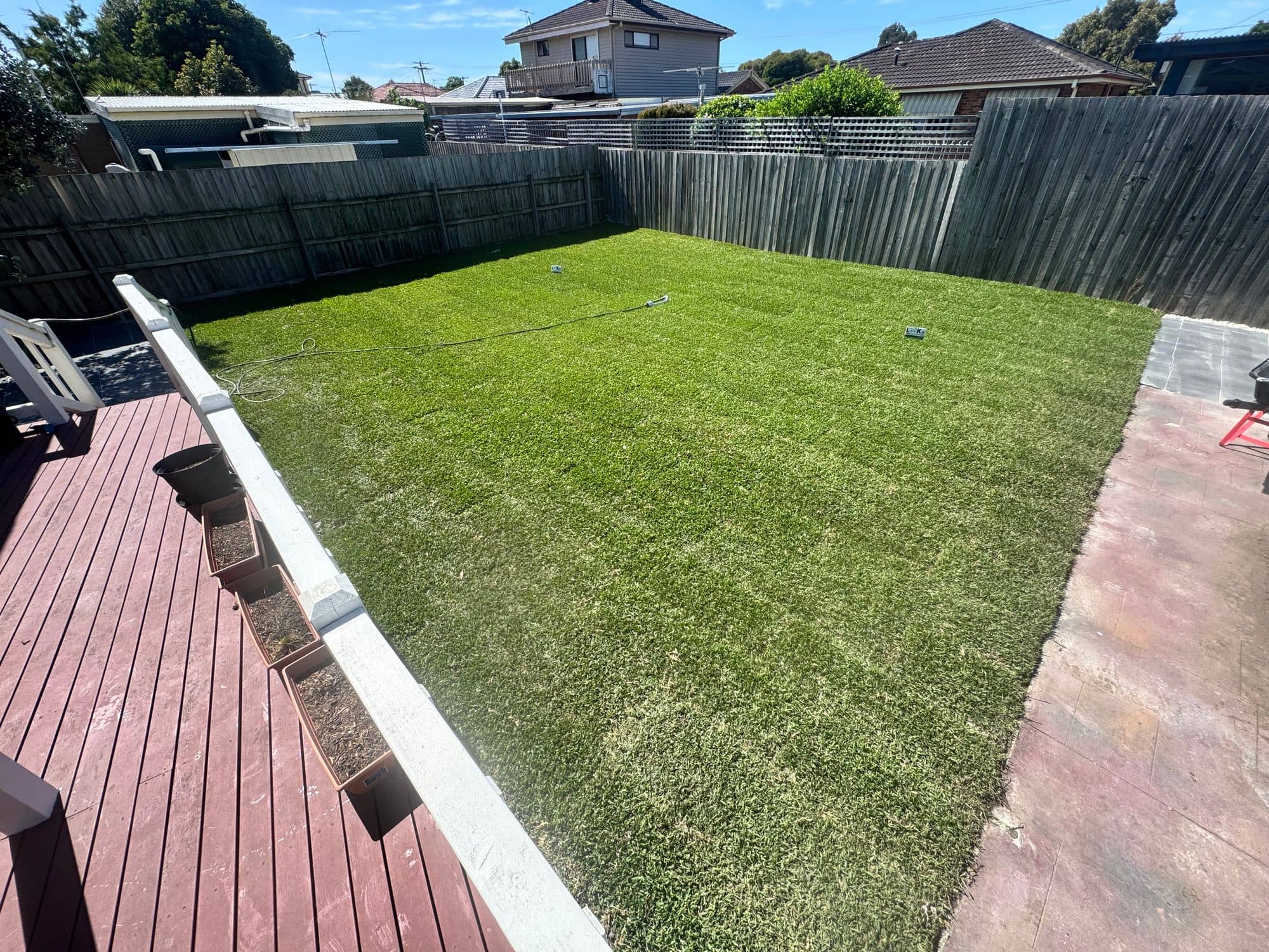 Large new Sir Walter buffalo backyard lawn beside a timber deck
