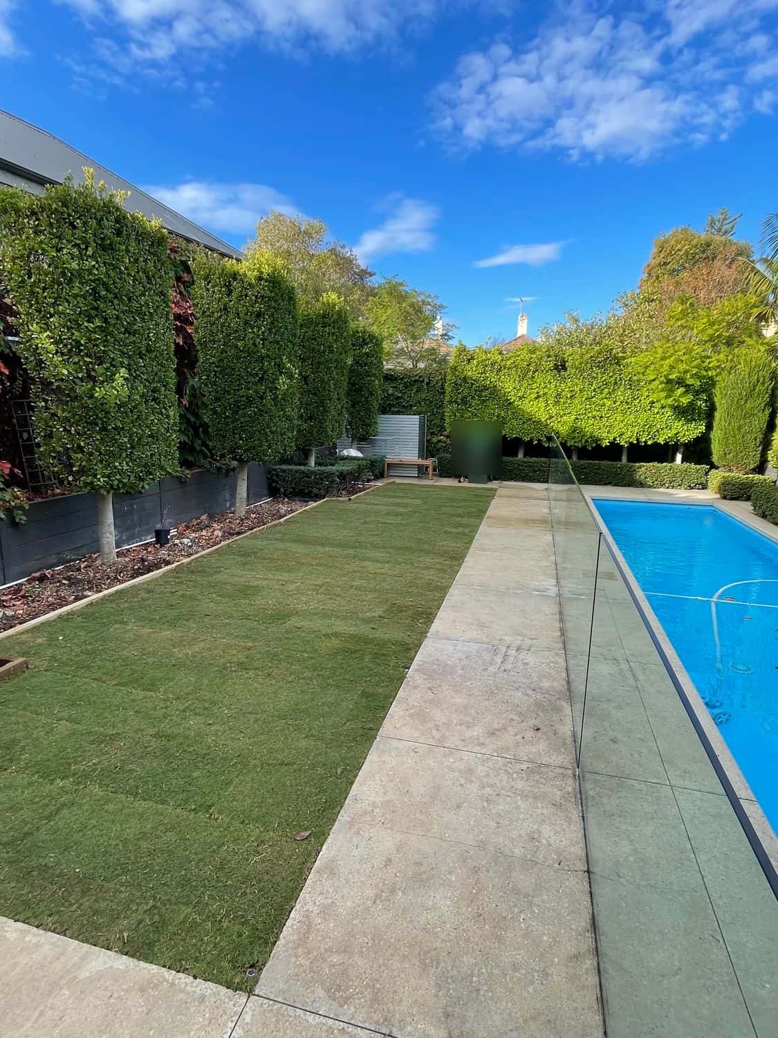 New Sir Walter buffalo lawn strip running beside a lap pool, framed by clipped hedges in Malvern