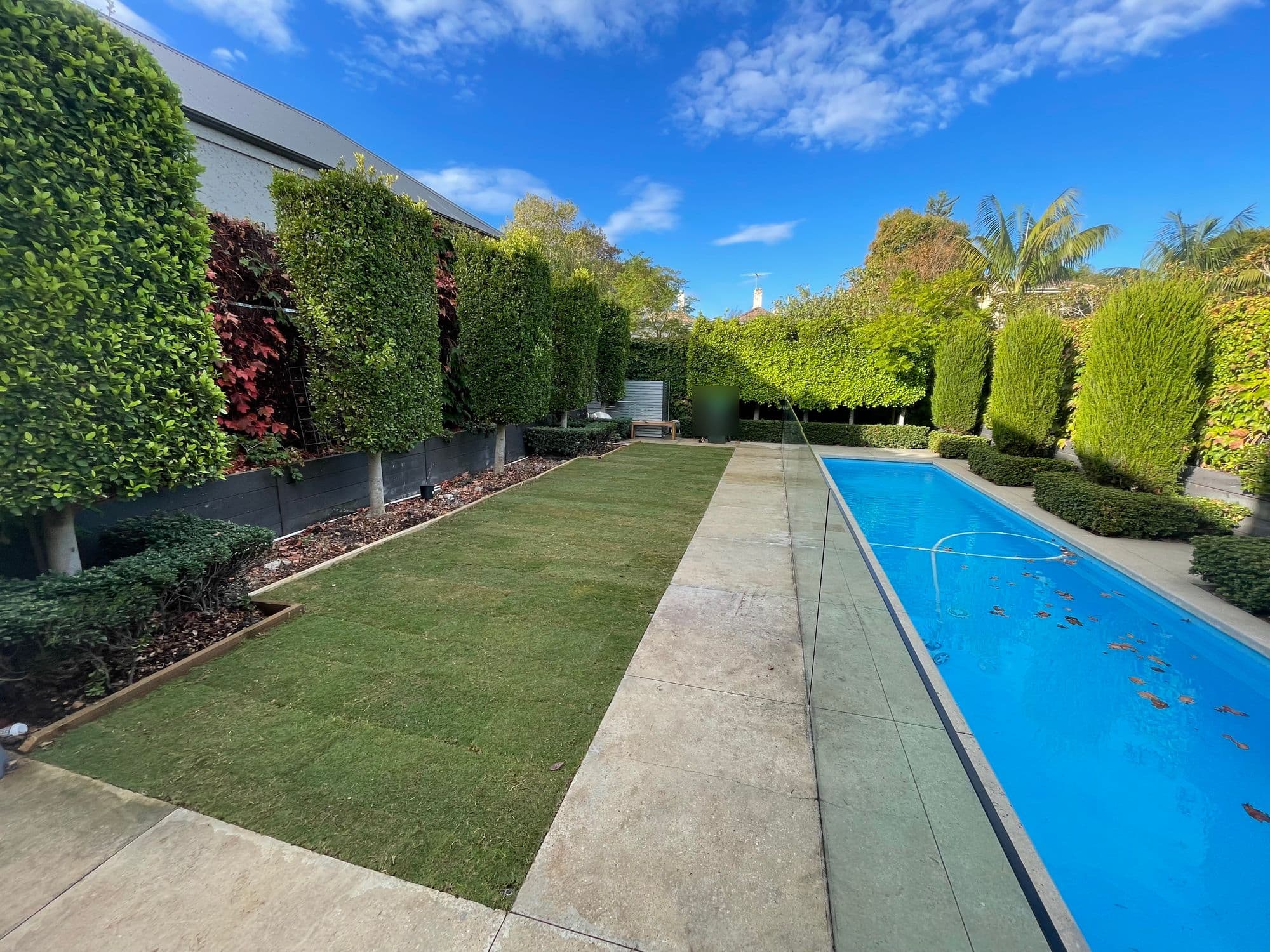 New Sir Walter buffalo lawn strip running beside a lap pool, framed by clipped hedges in Malvern