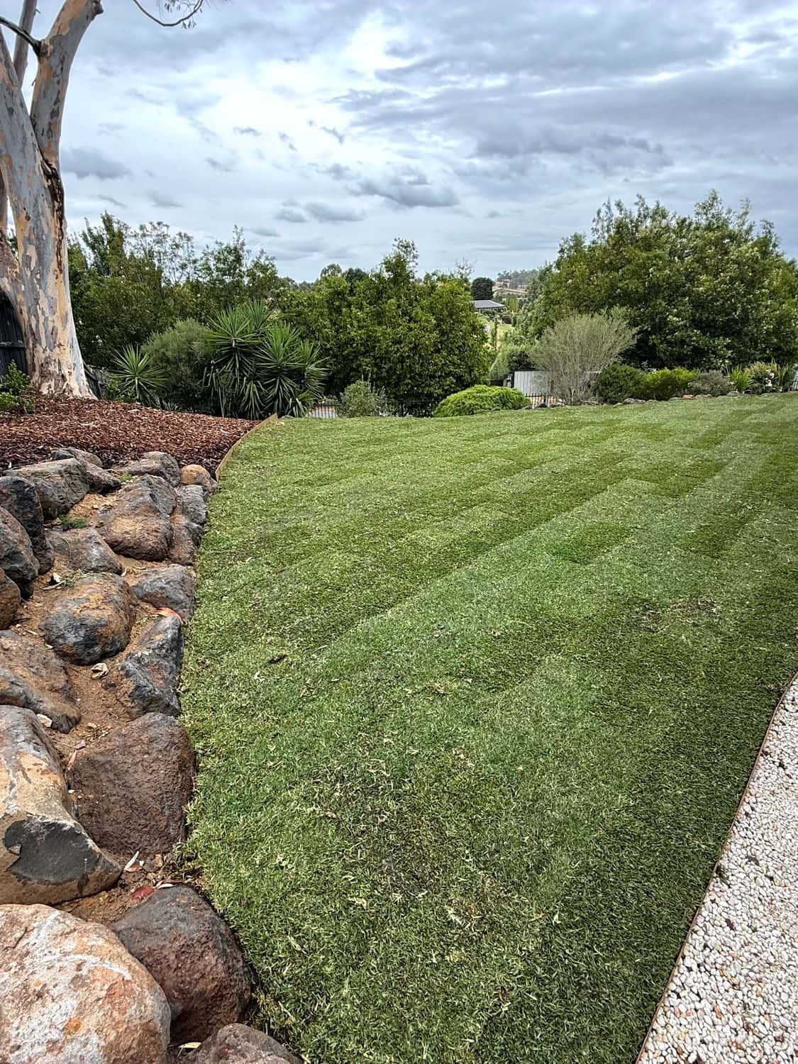 Freshly laid, striped Sir Walter buffalo lawn sweeping past a basalt boulder garden under a big sky