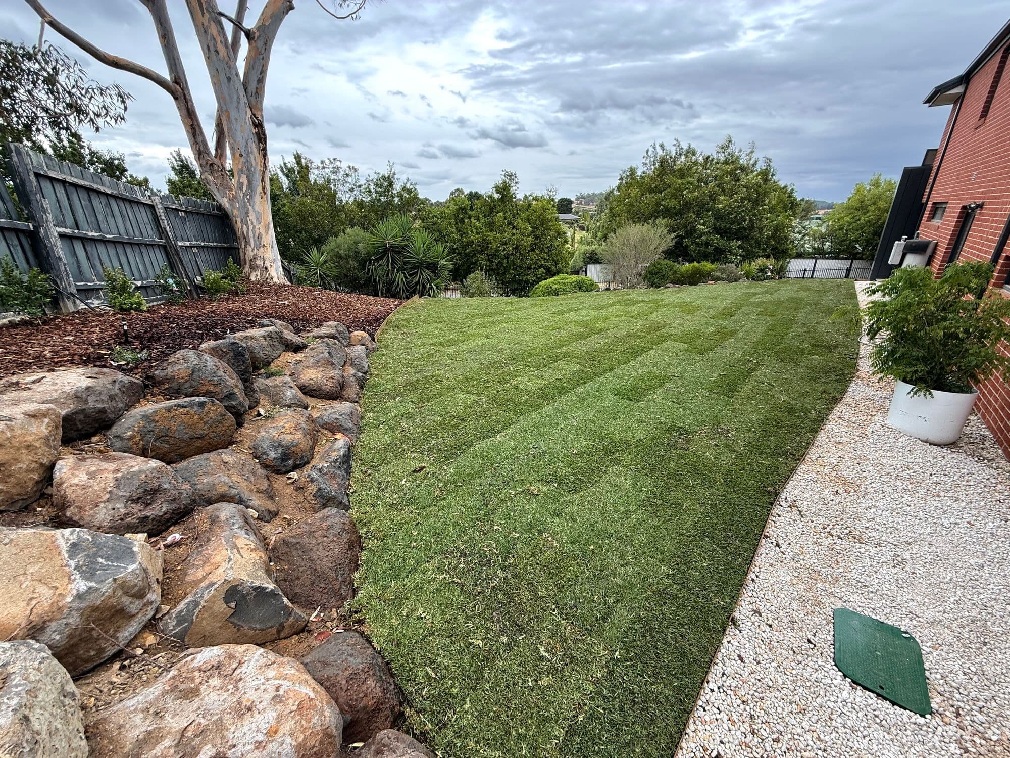 Freshly laid, striped Sir Walter buffalo lawn sweeping past a basalt boulder garden under a big sky