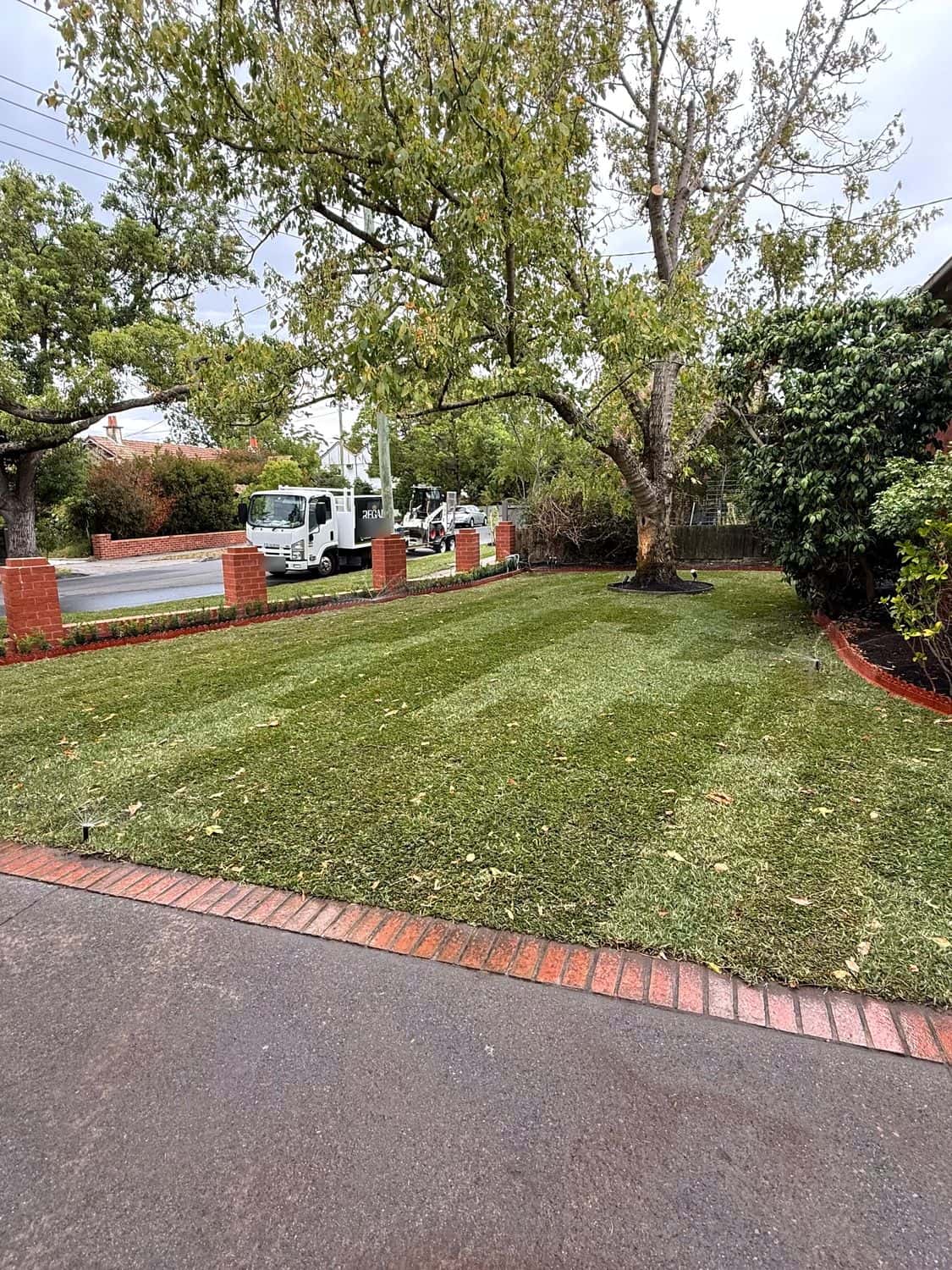 Striped Sir Walter buffalo front lawn with red brick edging at a Camberwell bungalow