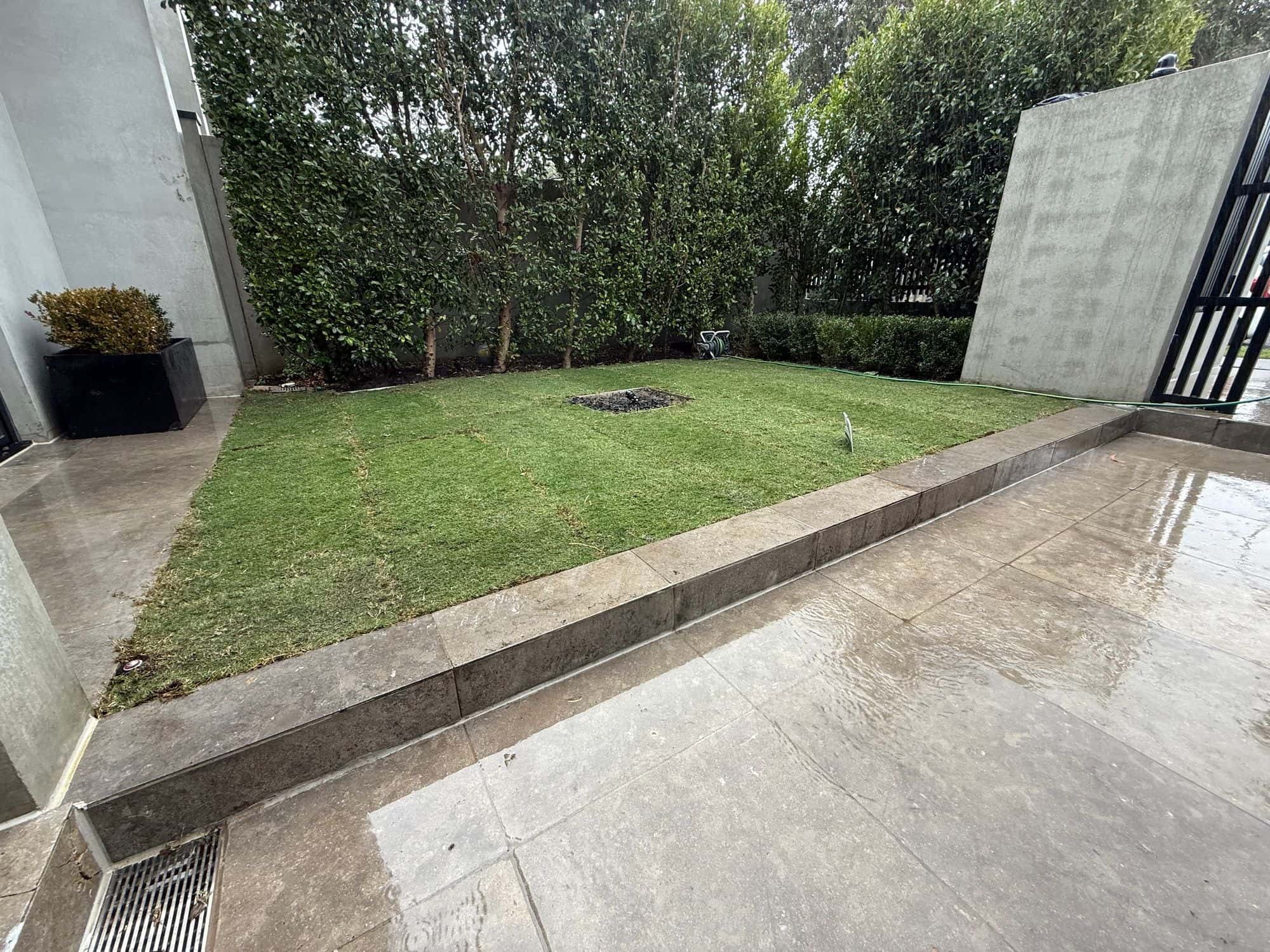 Sir Walter buffalo turf freshly laid in a stone-edged courtyard on installation day
