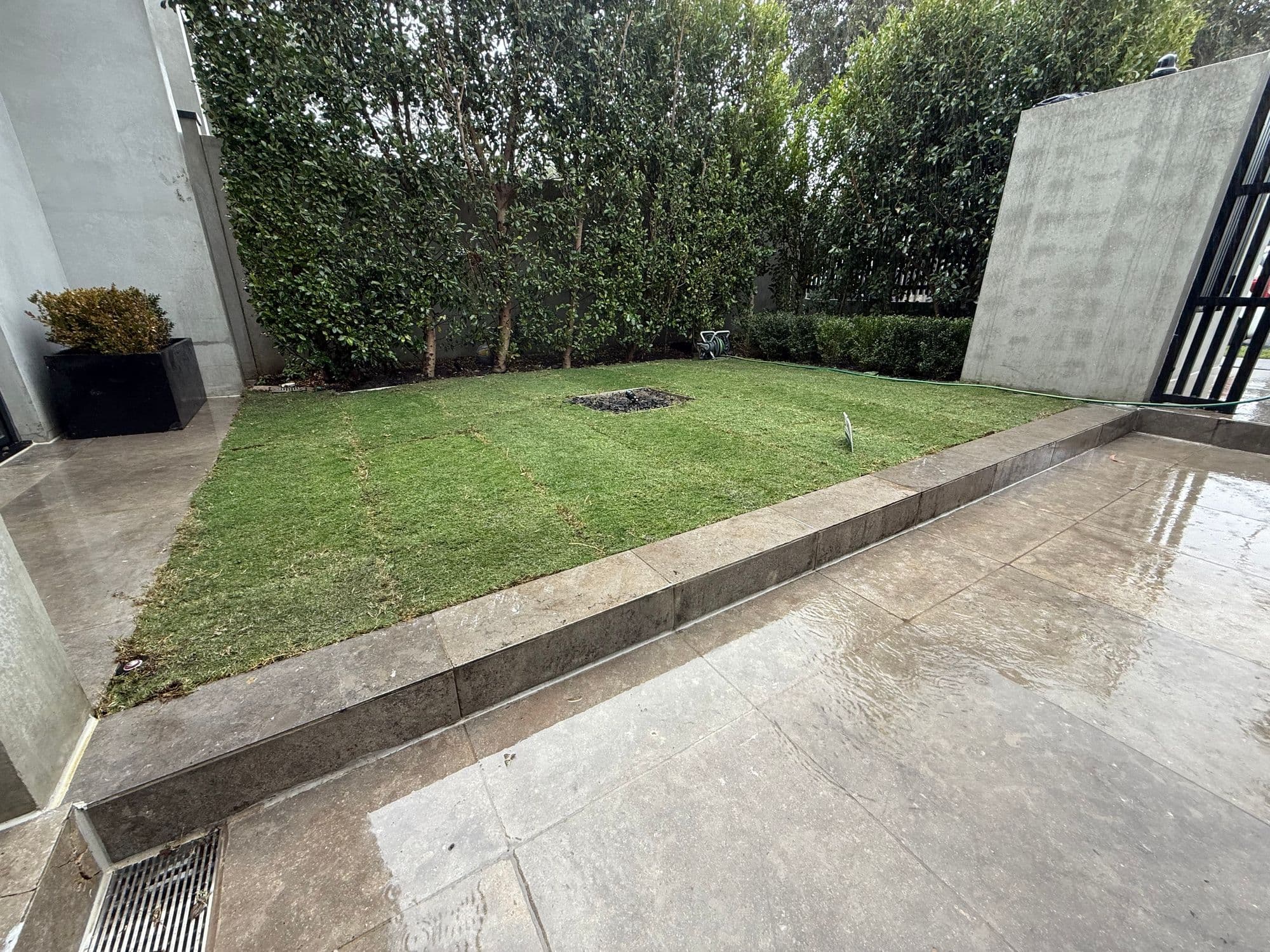 Sir Walter buffalo turf freshly laid in a stone-edged courtyard on installation day