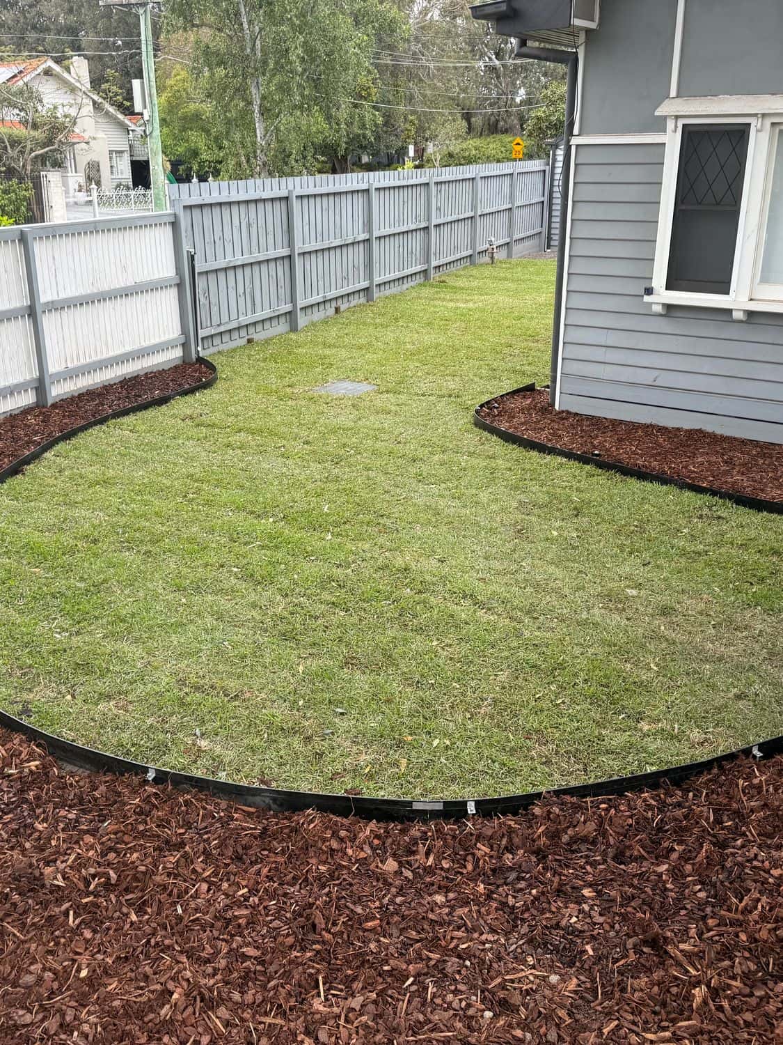 Curved Sir Walter buffalo lawn with black steel edging and fresh mulched beds in a Hampton backyard