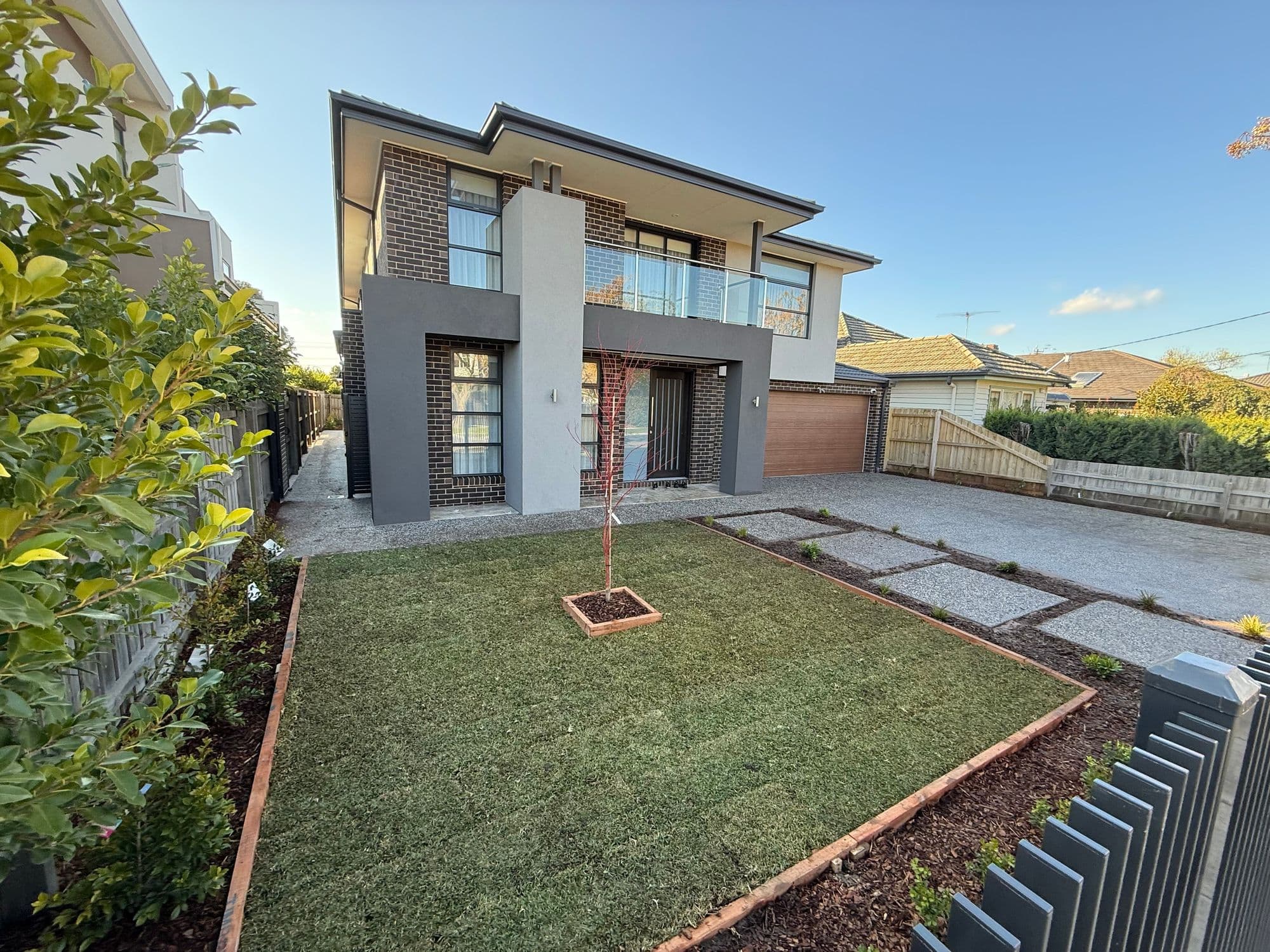 New Sir Walter buffalo front lawn with timber edging and a young tree at a new Bentleigh East home