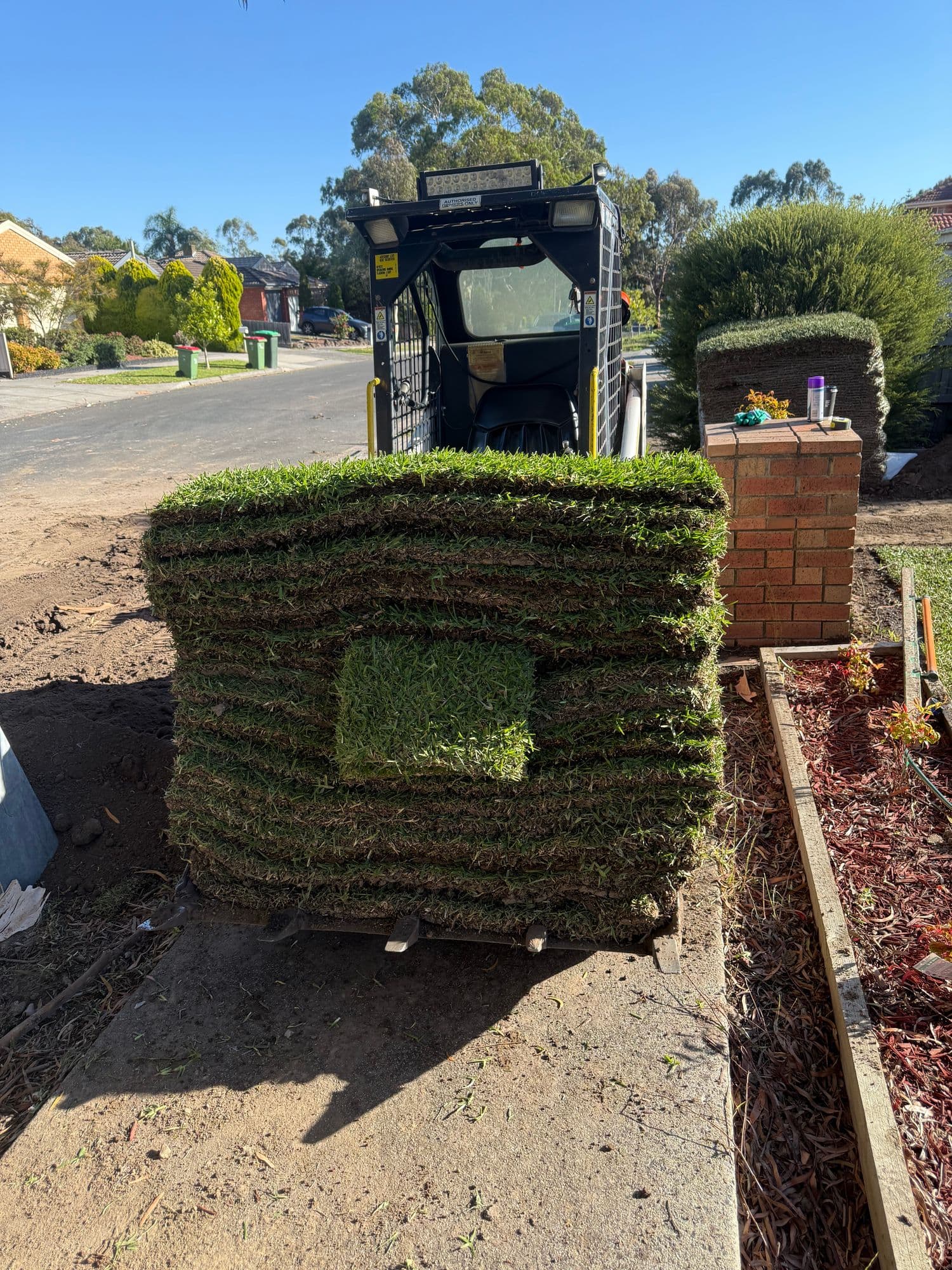 A pallet of fresh Sir Walter buffalo turf on the forks of a skid-steer loader