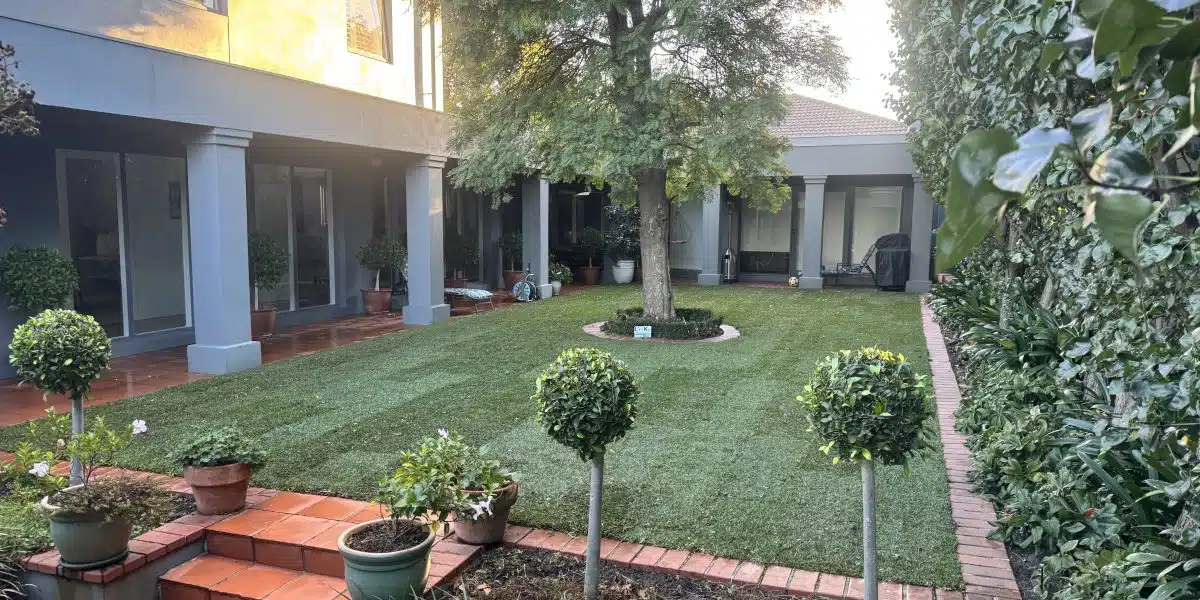 Buffalo turf installation