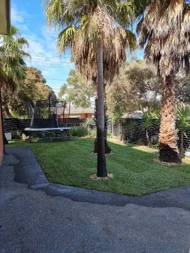 instant turf melbourne